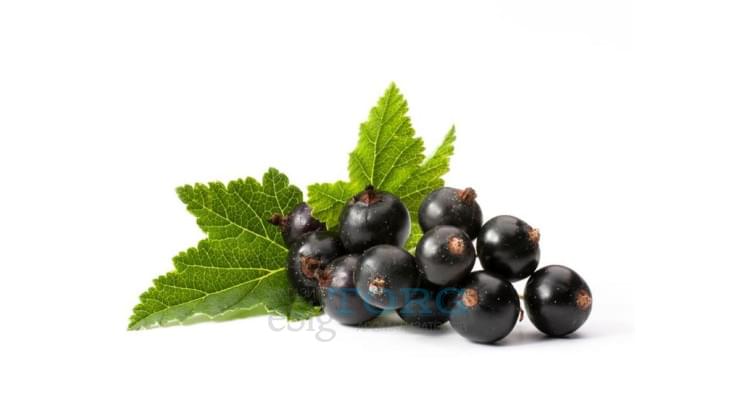 Ароматизатор My Flavor Blackcurrant